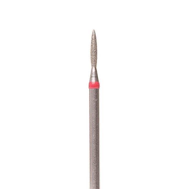 18 שפיץ Scaled E1610654418154.jpg