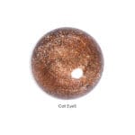 Cat Eye5