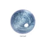Cat Eye9